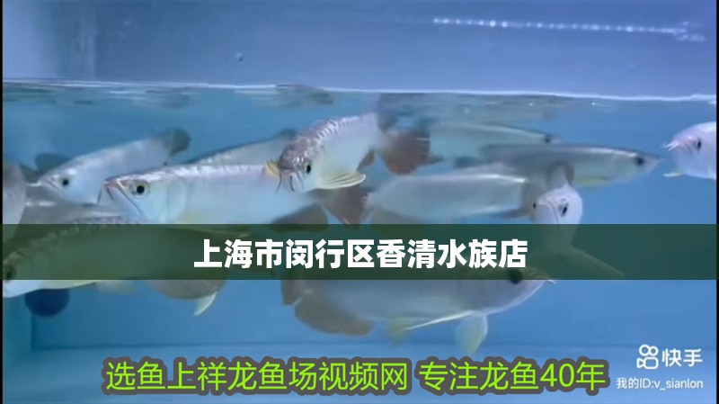 上海市閔行區(qū)香<strong><mark>清水</mark></strong>族店