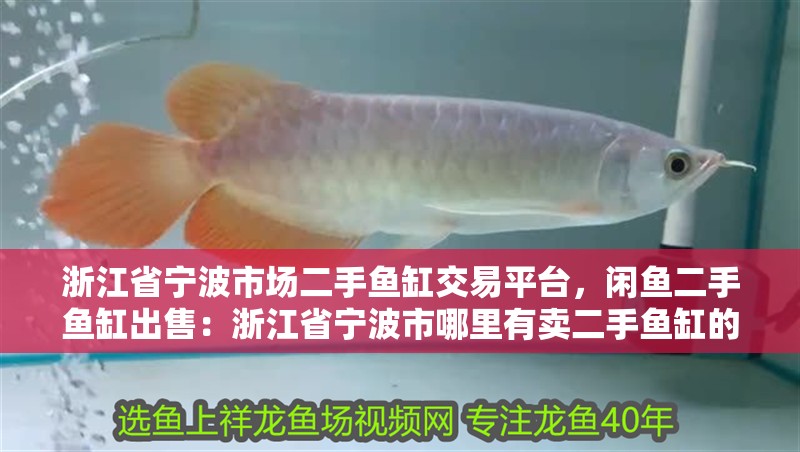 <strong><mark>浙江</mark></strong>省寧波市場二手魚缸交易平臺，閑魚二手魚缸出售：<strong><mark>浙江</mark></strong>省寧波市哪里有賣二手魚缸的