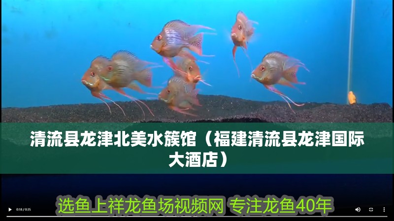 清流縣龍津北美水簇館（福建清流縣龍津國際大酒店）