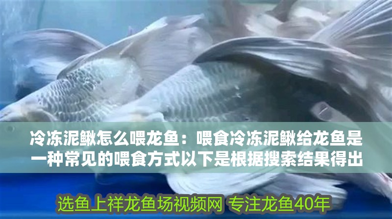 冷凍泥鰍怎么喂龍魚：喂食冷凍泥鰍給龍魚是一種常見的喂食方式以下是根據搜索結果得出的喂食步驟