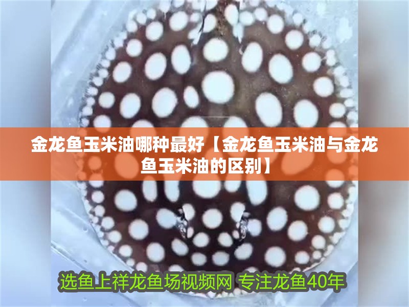 魚缸用增氧泵價(jià)格是多少:魚缸增氧機(jī)-xtrac增氧機(jī)-xtrac增氧機(jī) 金龍魚玉米油哪種最好【金龍魚玉米油與金龍魚玉米油的區(qū)別】 龍魚百科 金龍魚玉米油哪種最好【金龍魚玉米油與金龍魚玉米油的區(qū)別】 金龍魚玉米油哪種最好【金龍魚玉米油與金龍魚玉米油的區(qū)別】 龍魚百科