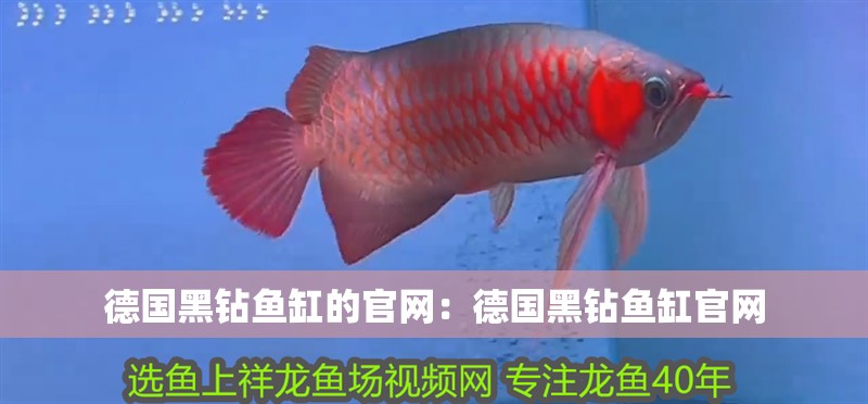德國黑鉆魚缸的官網：德國黑鉆魚缸官網