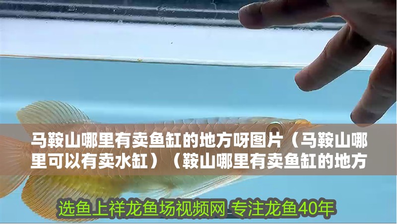 馬<strong><mark>鞍山</mark></strong>哪里有賣魚缸的地方呀圖片（馬<strong><mark>鞍山</mark></strong>哪里可以有賣水缸）（<strong><mark>鞍山</mark></strong>哪里有賣魚缸的地方）