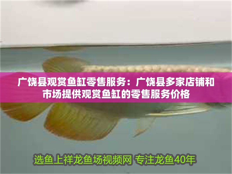 廣饒縣觀賞魚缸零售服務：廣饒縣多家店鋪和市場提供觀賞魚缸的零售服務價格