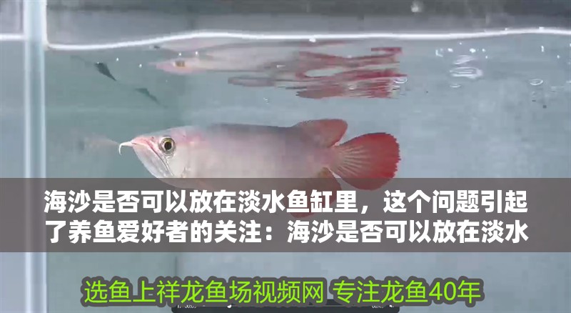 海沙是否可以放在淡水魚缸里，這個問題引起了養(yǎng)魚愛好者的關注：海沙是否可以放在淡水魚缸里