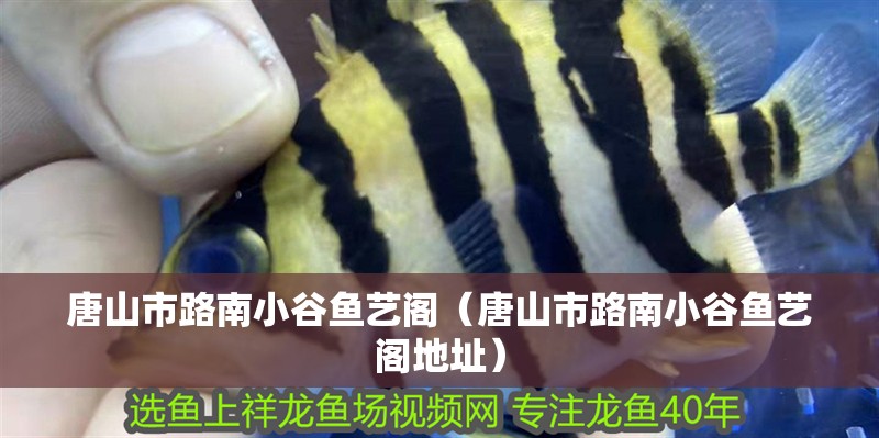 唐山市<strong><mark>路南</mark></strong>小谷魚藝閣（唐山市<strong><mark>路南</mark></strong>小谷魚藝閣地址）
