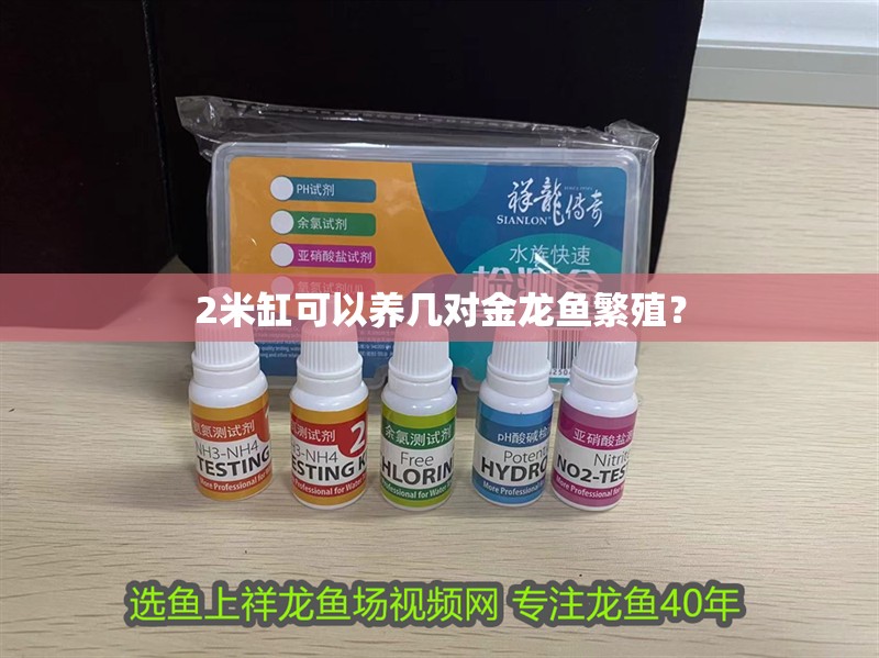 2米缸可以養幾對金龍魚繁殖？