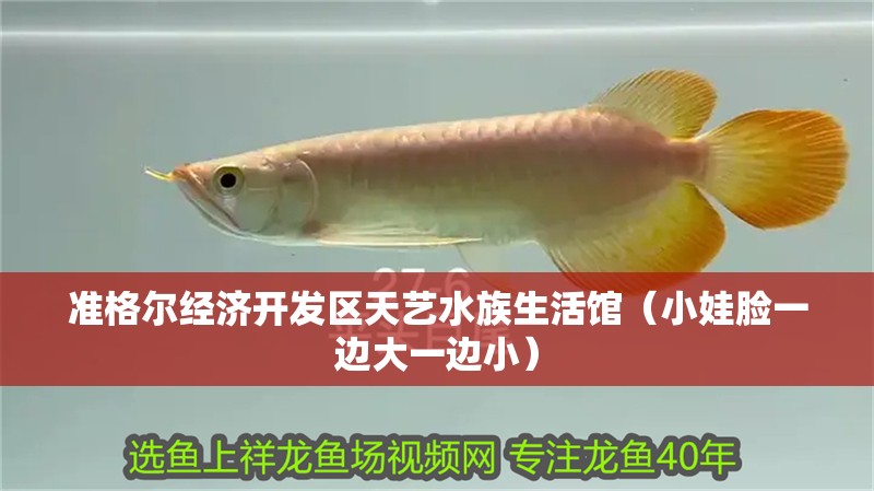 準格爾經濟開發區天藝水族生活館（小娃臉一邊大一邊小）