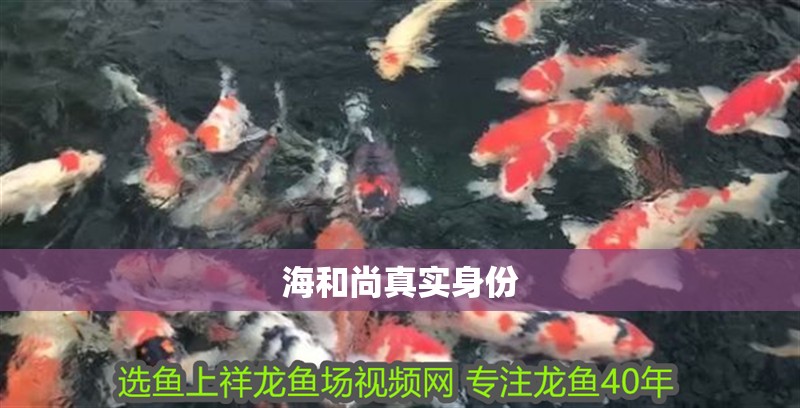 海和尚真實(shí)身份