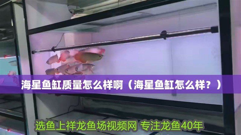 海星魚缸質量怎么樣啊（海星魚缸怎么樣？）