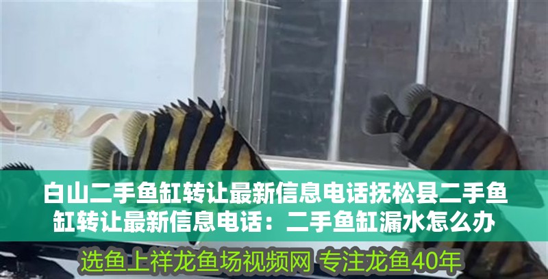 白山二手魚缸轉讓最新信息電話撫松縣二手魚缸轉讓最新信息電話：二手魚缸漏水怎么辦