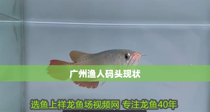 廣州漁人碼頭現(xiàn)狀