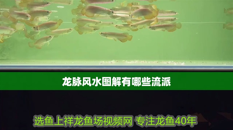 龍脈風水圖解有哪些流派