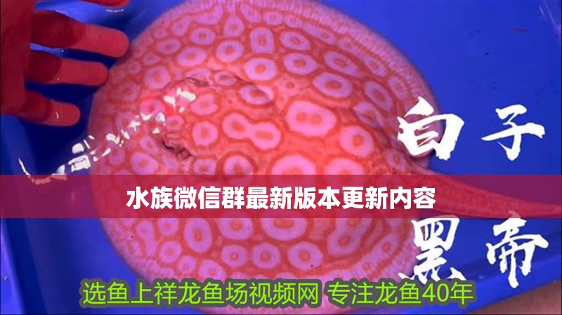 水族微信群最新版本更新內(nèi)容