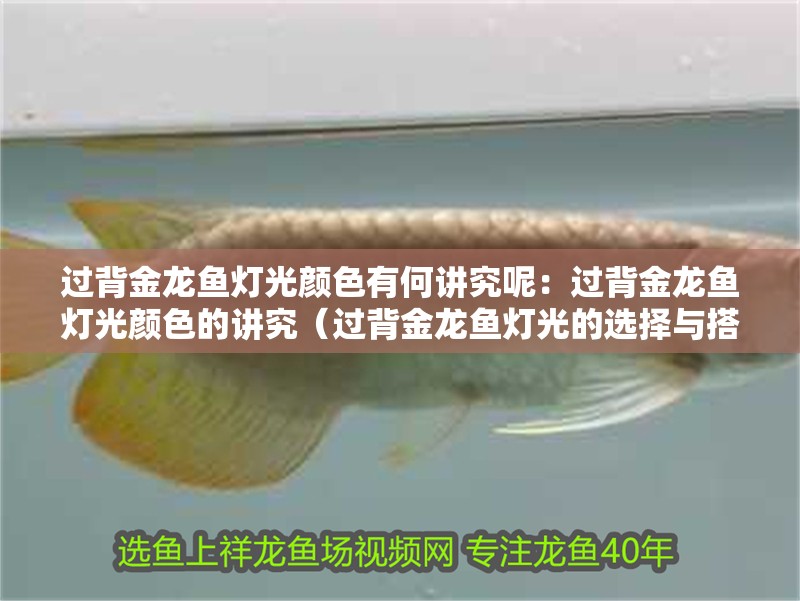 過背金龍魚燈光顏色有何講究呢：過背金龍魚燈光顏色的講究（過背金龍魚燈光的選擇與搭配）