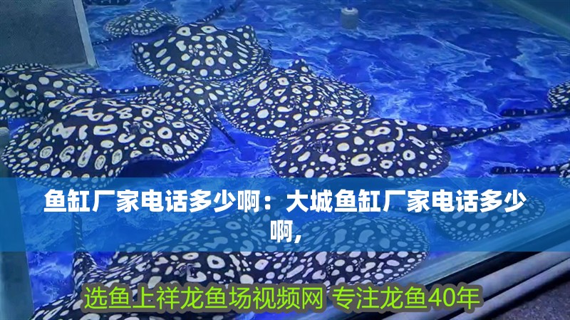 魚缸廠家電話多少啊：大城魚缸廠家電話多少啊, 魚缸廠家電話多少啊：大城魚缸廠家電話多少啊, 魚缸百科