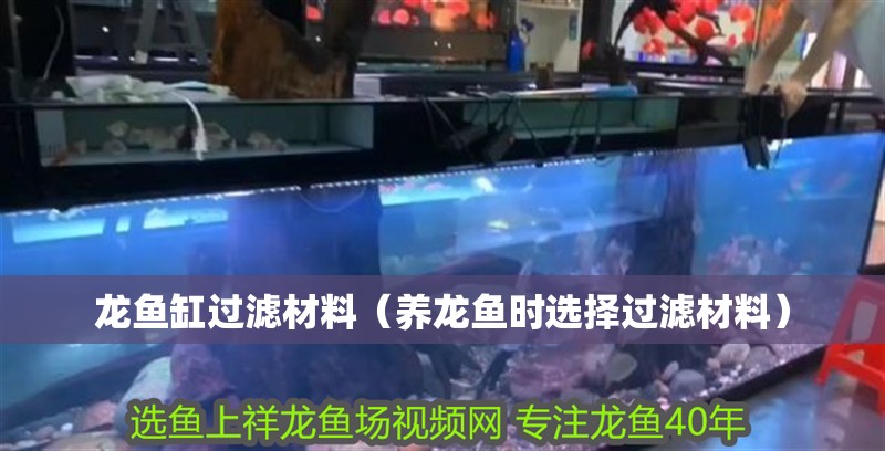 龍魚缸過濾材料（養龍魚時選擇過濾材料） 龍魚缸過濾材料（養龍魚時選擇過濾材料） 魚缸百科