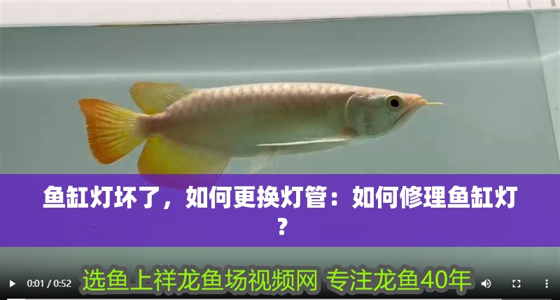 魚缸燈壞了，如何更換燈管：如何修理魚缸燈？