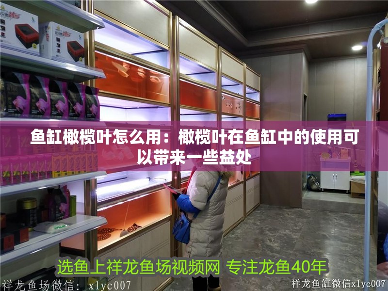 魚缸橄欖葉怎么用：橄欖葉在魚缸中的使用可以帶來一些益處