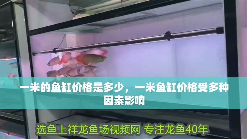 一米的魚缸價格是多少，一米魚缸價格受多種因素影響
