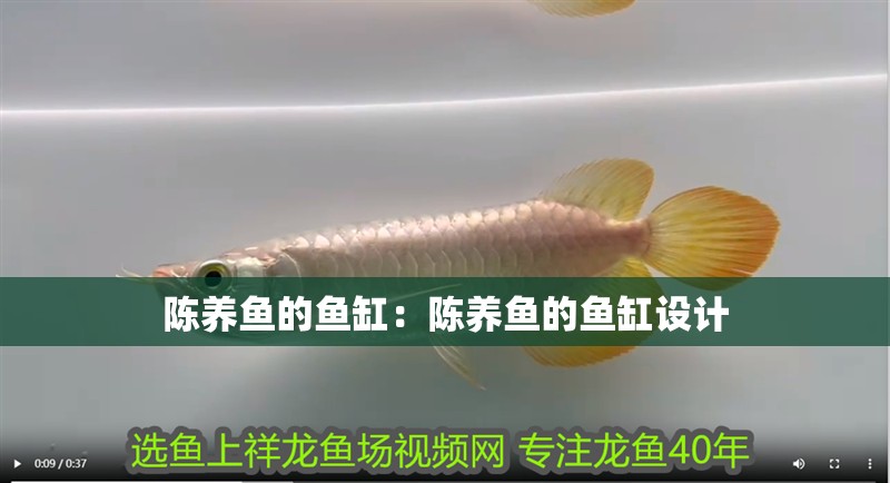 陳養(yǎng)魚的魚缸：陳養(yǎng)魚的魚缸設(shè)計(jì) 陳養(yǎng)魚的魚缸：陳養(yǎng)魚的魚缸設(shè)計(jì) 魚缸百科