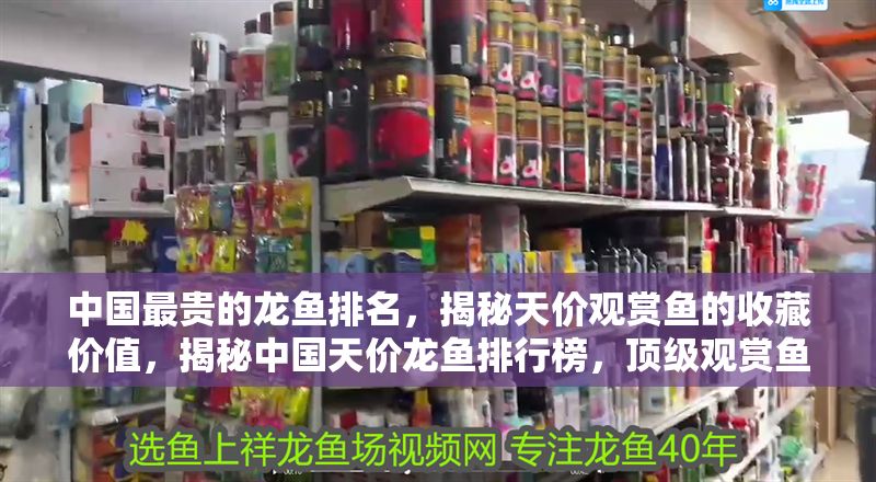 中國最貴的龍魚排名，揭秘天價觀賞魚的收藏價值，揭秘中國天價龍魚排行榜，頂級觀賞魚的收藏價值解析