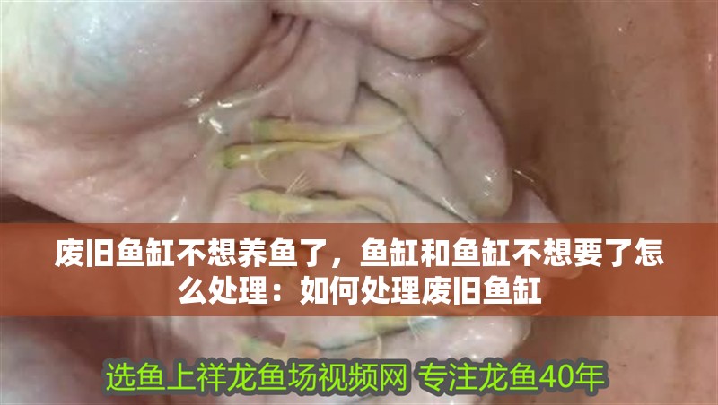 廢舊魚缸不想養魚了，魚缸和魚缸不想要了怎么處理：如何處理廢舊魚缸