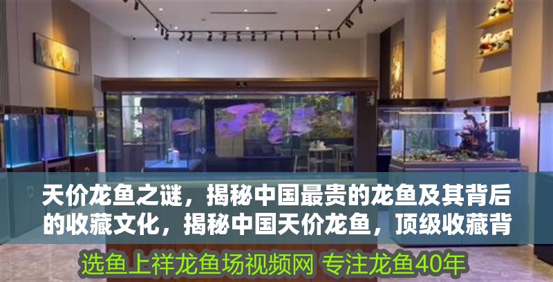 天價龍魚之謎，揭秘中國最貴的龍魚及其背后的收藏文化，揭秘中國天價龍魚，頂級收藏背后的奢華文化與市場密碼