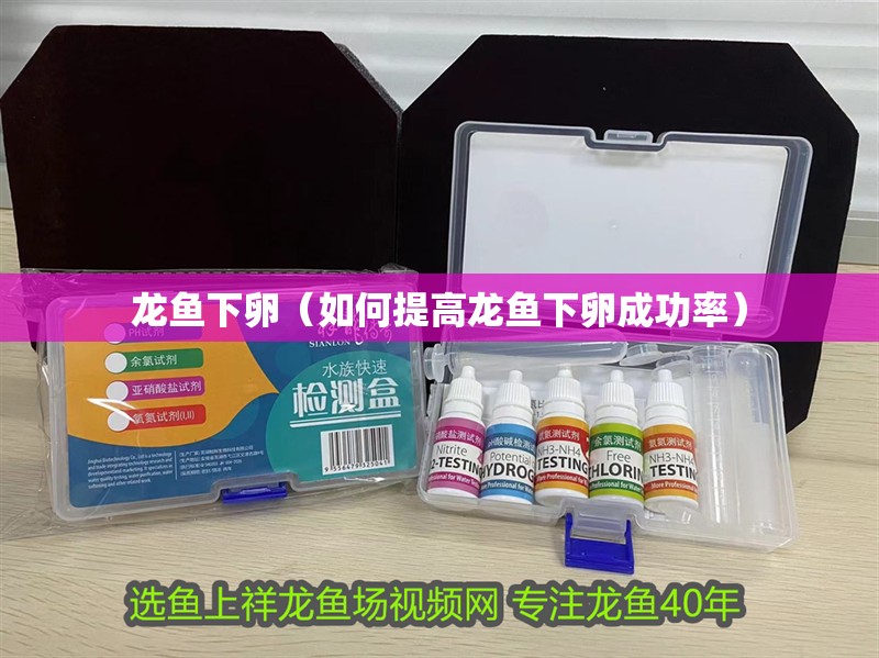 龍魚下卵（如何提高龍魚下卵成功率）