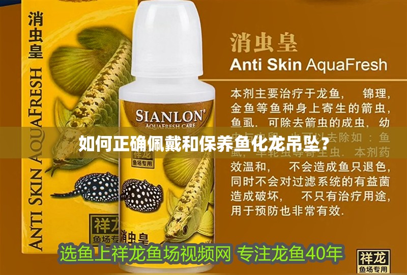 如何正確佩戴和保養魚化龍吊墜？