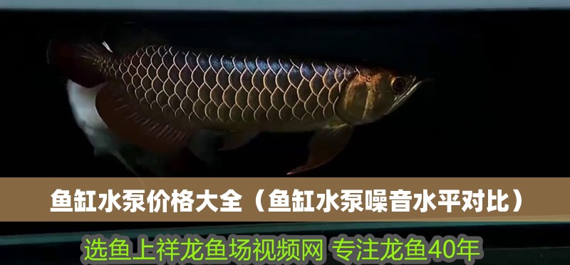 魚缸過濾器選購指南:自制魚缸過濾器魚缸上置過濾器對于養魚愛好者的必備知識 魚缸水泵價格大全(魚缸水泵噪音水平對比) 龍魚百科 魚缸水泵價格大全(魚缸水泵噪音水平對比) 魚缸水泵價格大全(魚缸水泵噪音水平對比) 龍魚百科