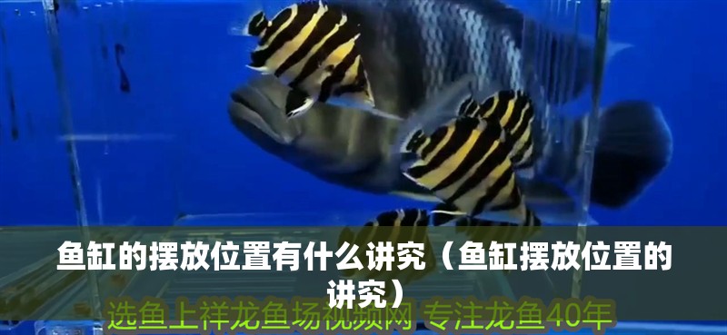 魚缸的擺放位置有什么講究（魚缸擺放位置的講究） 魚缸的擺放位置有什么講究（魚缸擺放位置的講究） 魚缸百科