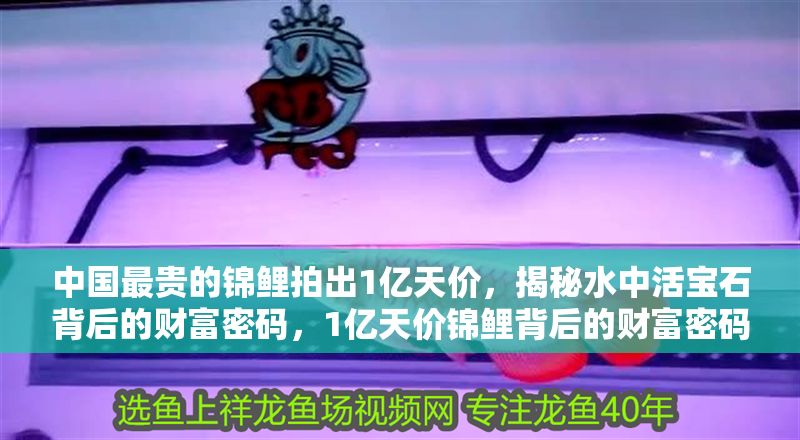 中國最貴的錦鯉拍出1億天價，揭秘水中活寶石背后的財富密碼，1億天價錦鯉背后的財富密碼，揭秘水中活寶石的收藏神話