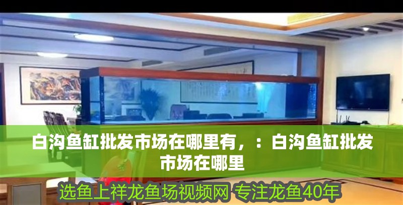 白溝魚缸批發(fā)市場在哪里有，：白溝魚缸批發(fā)市場在哪里