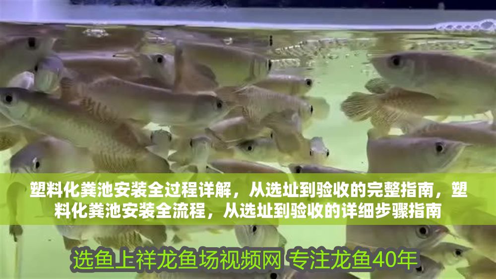 塑料化糞池安裝全過程詳解，從選址到驗收的完整指南，塑料化糞池安裝全流程，從選址到驗收的詳細步驟指南