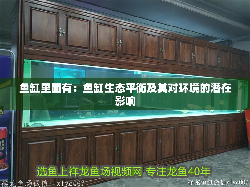 魚缸里面有：魚缸生態平衡及其對環境的潛在影響