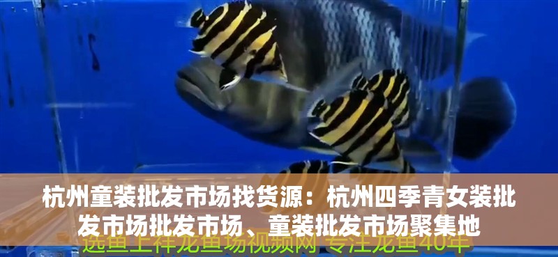 杭州童裝批發市場找貨源：杭州四季青女裝批發市場批發市場、童裝批發市場聚集地