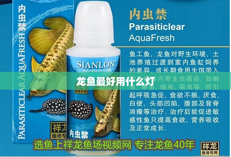 龍魚最好用什么燈