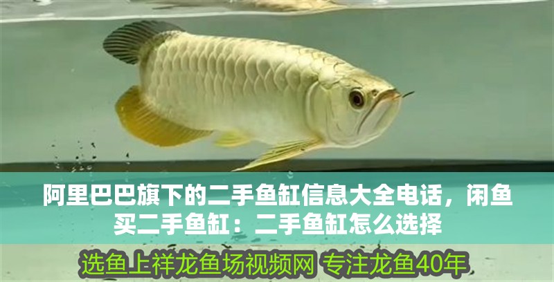 阿里巴巴旗下的二手魚缸信息大全電話，閑魚買二手魚缸：二手魚缸怎么選擇