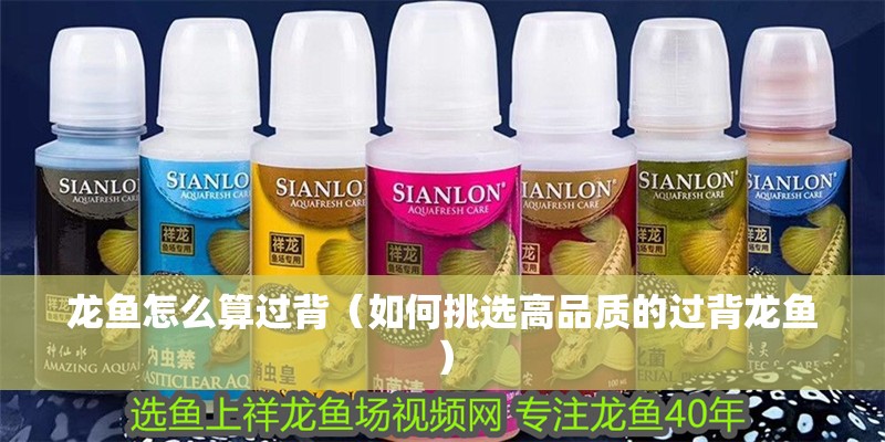 龍魚怎么算過背（如何挑選高品質的過背龍魚） 龍魚怎么算過背（如何挑選高品質的過背龍魚） 龍魚百科