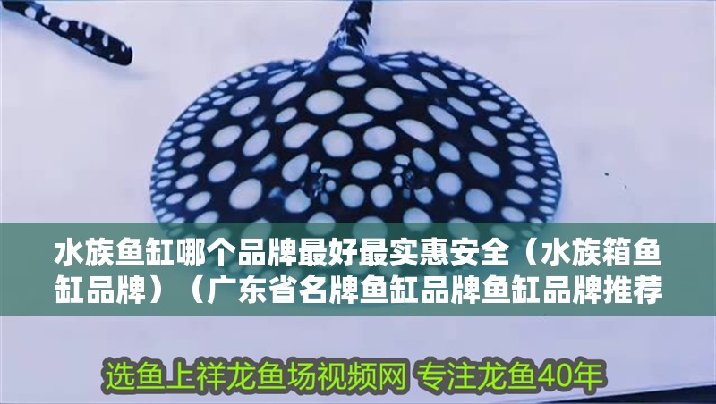 水族魚缸哪個品牌最好最實惠安全（水族箱魚缸品牌）（廣東省名牌魚缸品牌魚缸品牌推薦：水族魚缸品牌推薦） 水族魚缸哪個品牌最好最實惠安全（水族箱魚缸品牌）（廣東省名牌魚缸品牌魚缸品牌推薦：水族魚缸品牌推薦） 魚缸百科