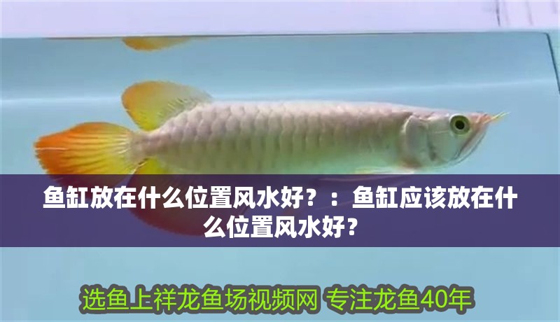 魚缸放在什么位置風水好？：魚缸應該放在什么位置風水好？ 魚缸放在什么位置風水好？：魚缸應該放在什么位置風水好？ 魚缸百科
