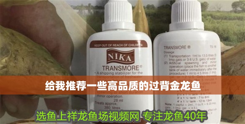 給我推薦一些高品質的過背金龍魚