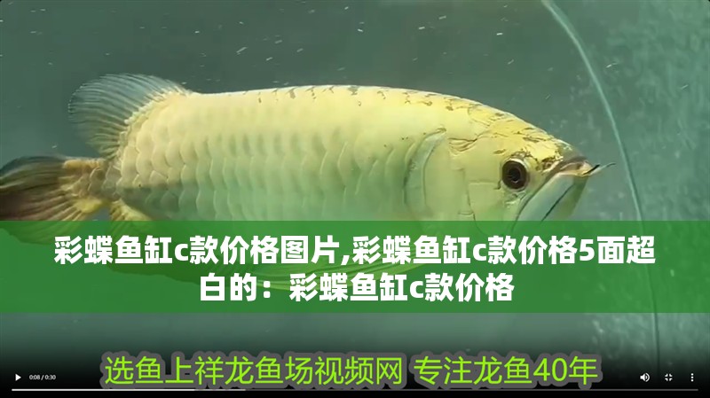 彩蝶魚缸c款價格圖片,彩蝶魚缸c款價格5面超白的：彩蝶魚缸c款價格 彩蝶魚缸c款價格圖片,彩蝶魚缸c款價格5面超白的：彩蝶魚缸c款價格 魚缸百科