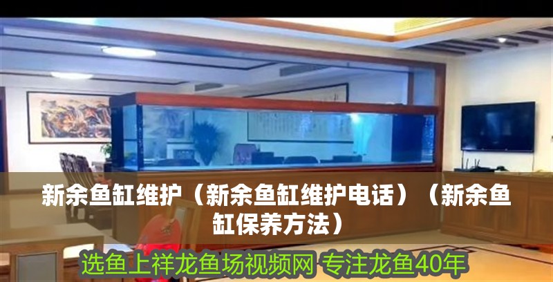 <strong><mark>新余</mark></strong>魚缸維護（<strong><mark>新余</mark></strong>魚缸維護電話）（<strong><mark>新余</mark></strong>魚缸保養(yǎng)方法）