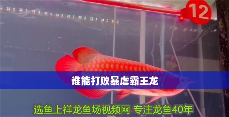 誰能打敗暴虐霸王龍