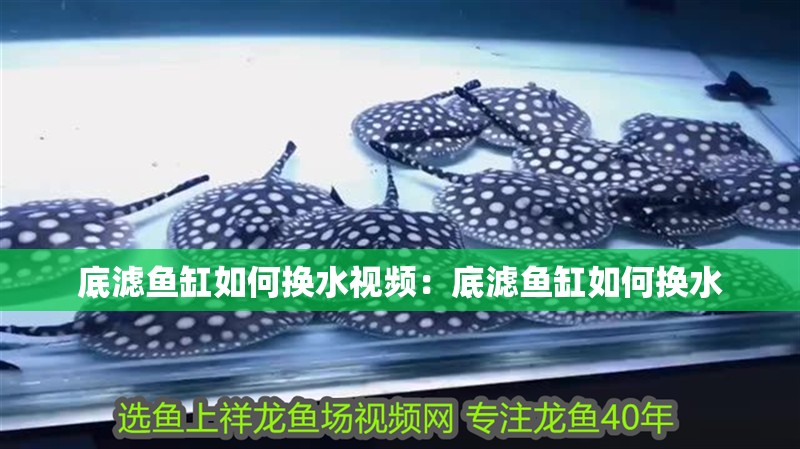 底濾魚缸如何換水視頻：底濾魚缸如何換水