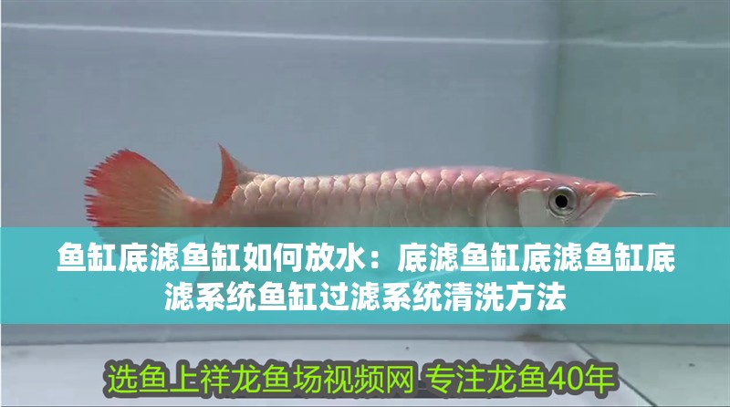 魚缸底濾魚缸如何放水：底濾魚缸底濾魚缸底濾系統(tǒng)魚缸過濾系統(tǒng)清洗方法 魚缸底濾魚缸如何放水：底濾魚缸底濾魚缸底濾系統(tǒng)魚缸過濾系統(tǒng)清洗方法 魚缸百科