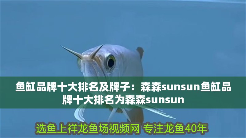 魚缸品牌十大排名及牌子：森森sunsun魚缸品牌十大排名為森森sunsun