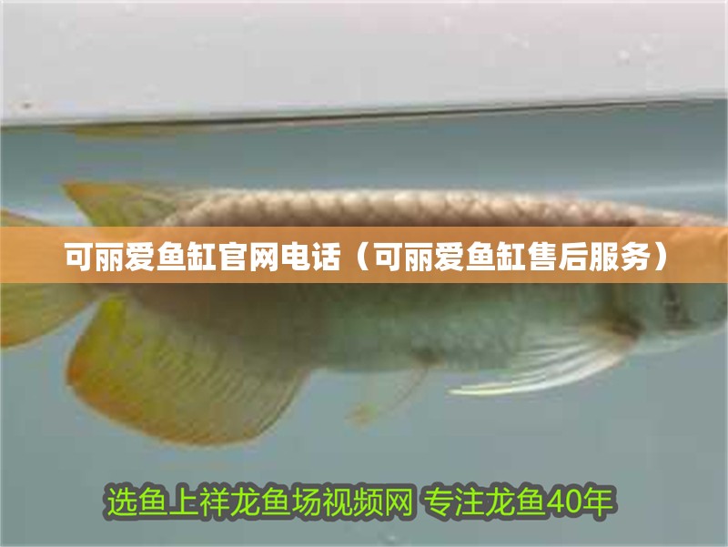 可麗愛魚缸官網電話（可麗愛魚缸售后服務）